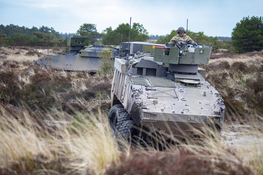 Danish_Piranha_V